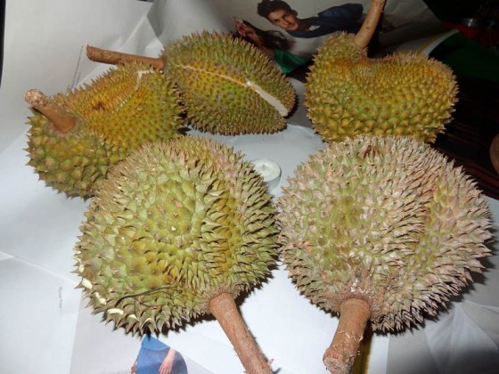 Durian Fruit
