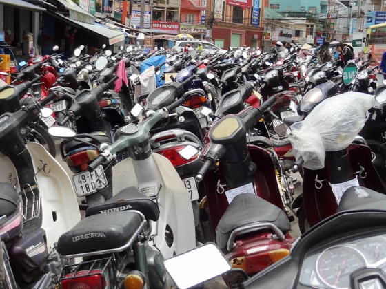 Scooters Everywhere Scooters Everywhere