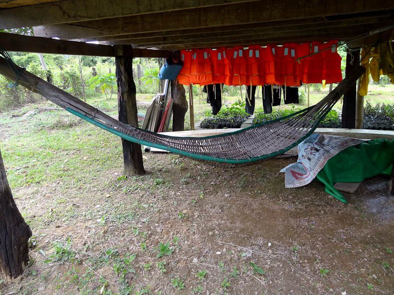 Hammock Below My House