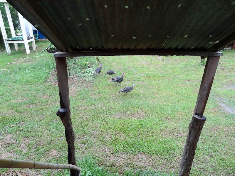 View From The Front Door