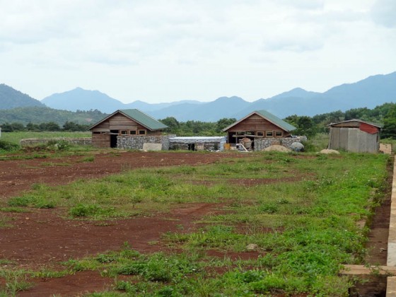 Beautiful Area