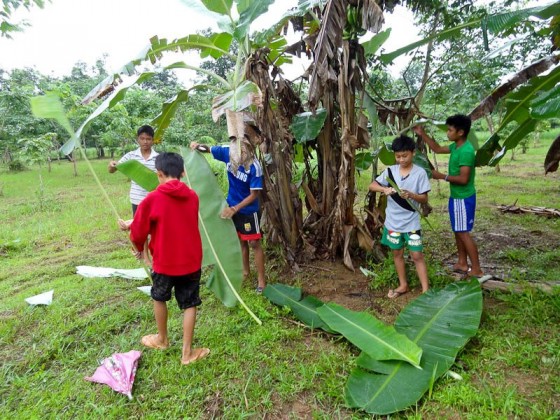 Collecting Banana Leaves  Collecting Banana Leaves