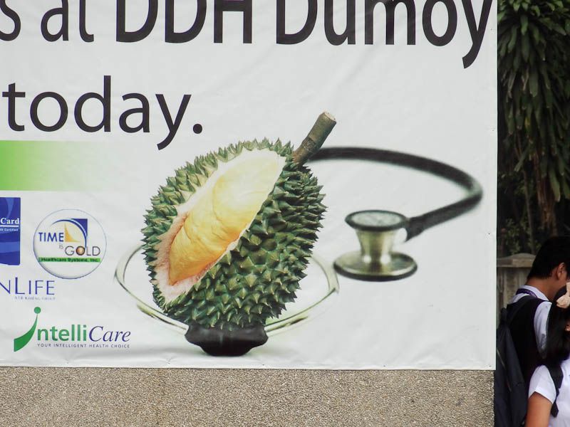 Doctor Durian