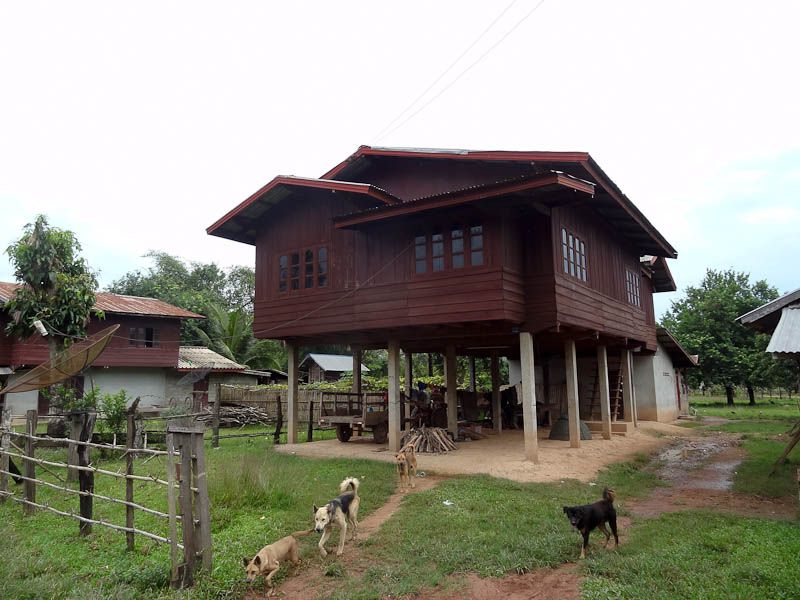 Homes On Stilts