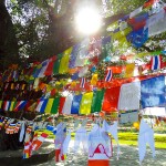 Enlightened Flags - Taken 1-Nov-2012 - Buddha's Birthplace, Lumbini, Nepal
