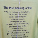 The True Meaning Of Life From The Dalai Lama - Taken 27-Nov-2012 - McLeodganj, Dharamsala, India