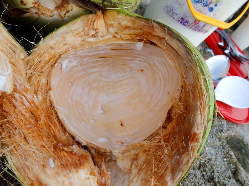 After The Flesh Has Been Scraped