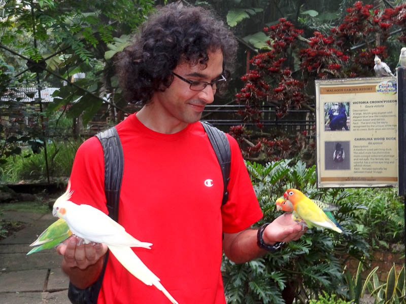Beautiful Birds
