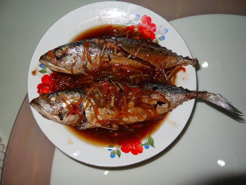 Fish