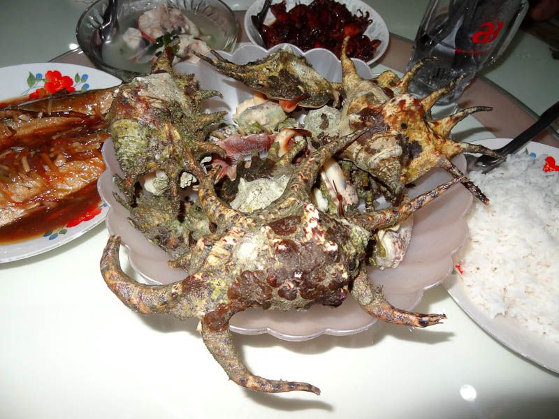 Some Kind Of Crab I Think