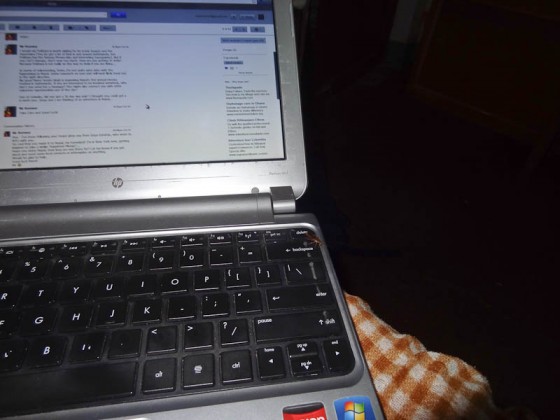 Cockroach On The Backspace Key Cockroach On The Backspace Key