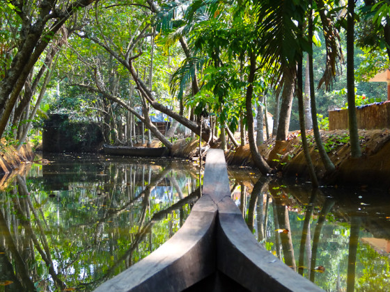 Serenity In The Kerala Backwaters