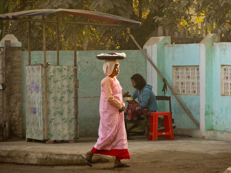 Buddhist Nuns Receiving Alms