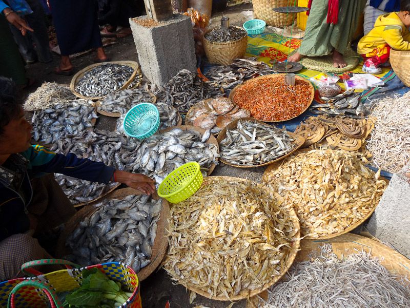 Dried Fish