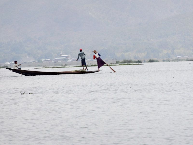 Food Paddling