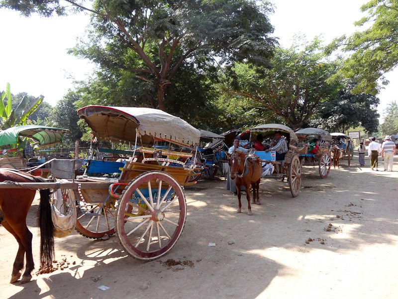 Lots Of Horse Carts