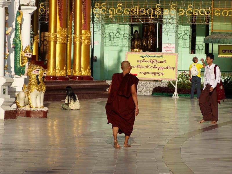 Monk