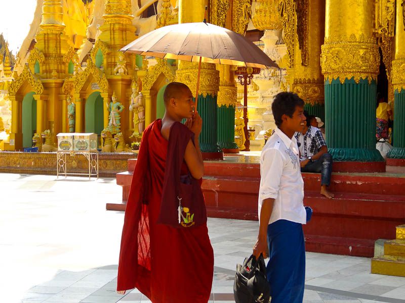 Monk At The Pagoda