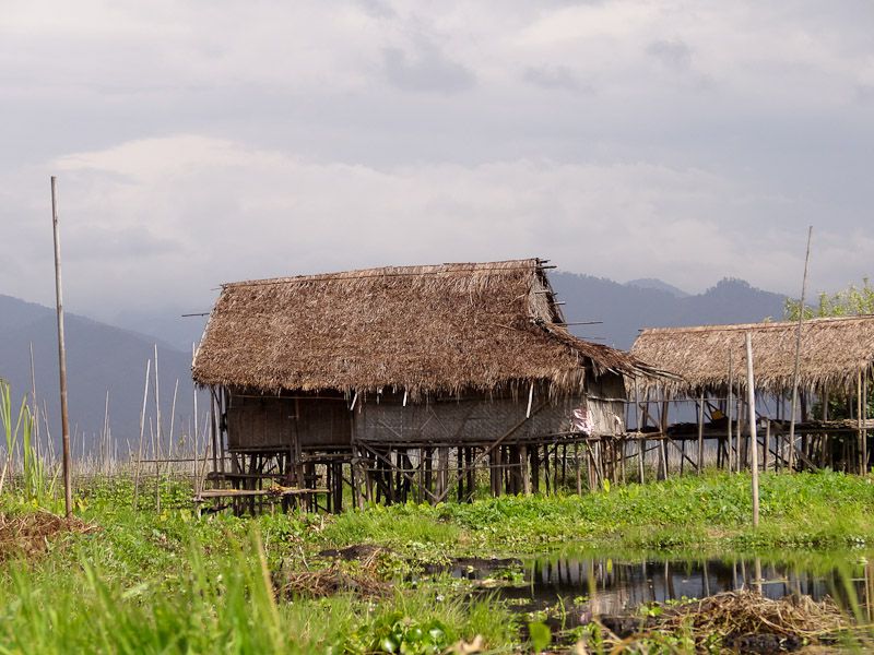 Rural Lake Life