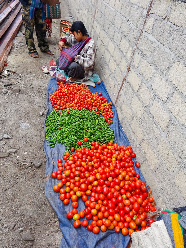 Tomatoes And Peppers