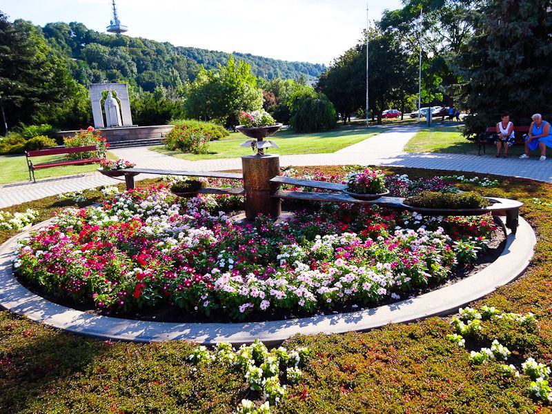 A Garden That Doubles As A Hard To Read Clock