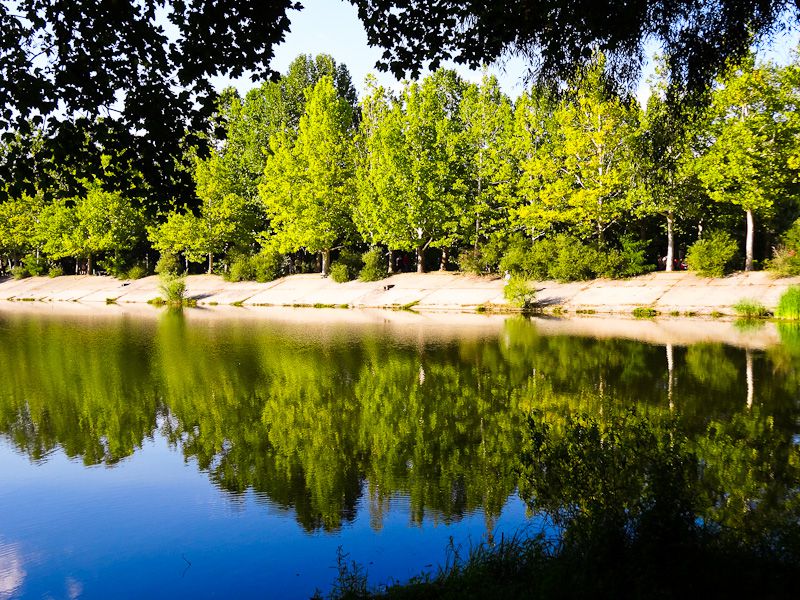Beautiful Park