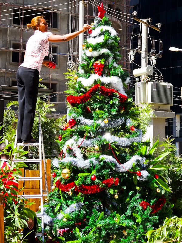 Christmas Tree – Taken 17-Dec-2013 – Addis Ababa, Ethiopia Christmas Tree - Taken 17-Dec-2013 - Addis Ababa, Ethiopia