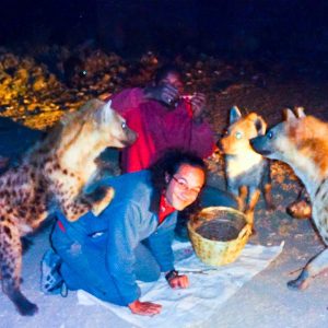 Feeding The Hyenas