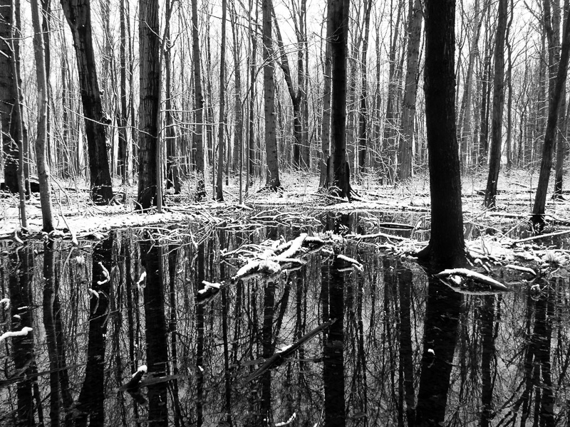 Snow In Spring – Taken 15-Apr-2014 – Cleveland, Ohio, USA Snow In Spring - Taken 15-Apr-2014 - Cleveland, Ohio, USA